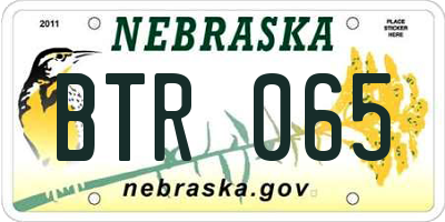 NE license plate BTR065