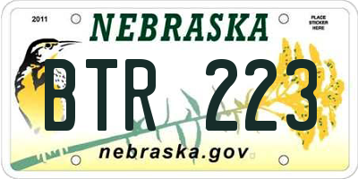 NE license plate BTR223