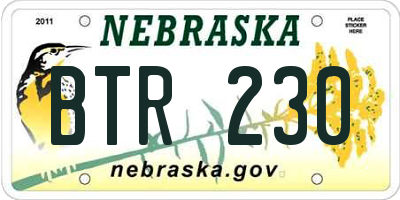 NE license plate BTR230