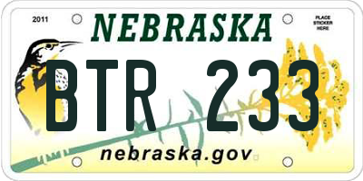 NE license plate BTR233