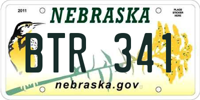 NE license plate BTR341