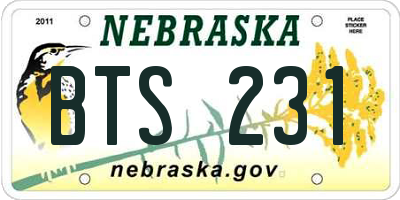 NE license plate BTS231