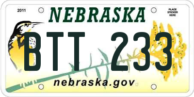 NE license plate BTT233