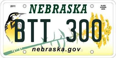 NE license plate BTT300