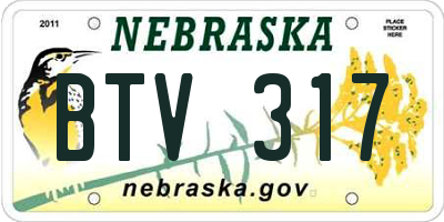NE license plate BTV317