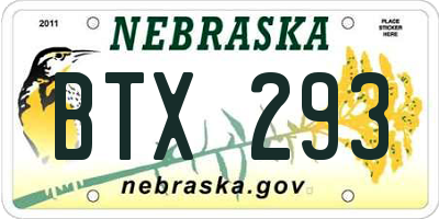 NE license plate BTX293