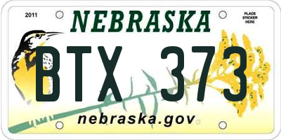 NE license plate BTX373