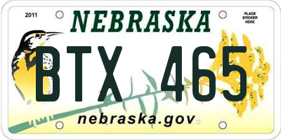 NE license plate BTX465