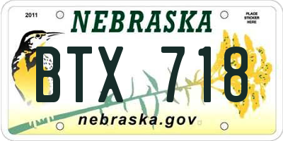 NE license plate BTX718