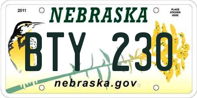 NE license plate BTY230