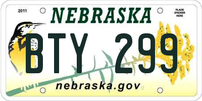 NE license plate BTY299