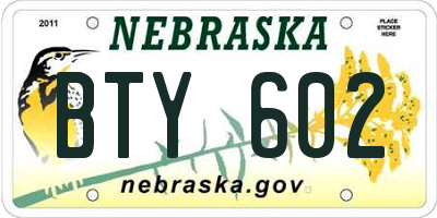NE license plate BTY602