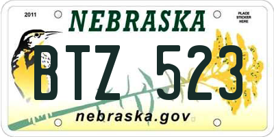 NE license plate BTZ523