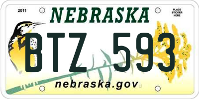 NE license plate BTZ593