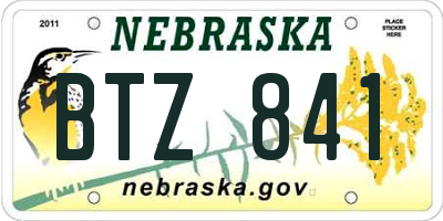 NE license plate BTZ841