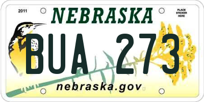NE license plate BUA273