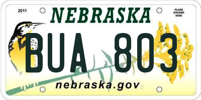 NE license plate BUA803