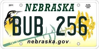 NE license plate BUB256