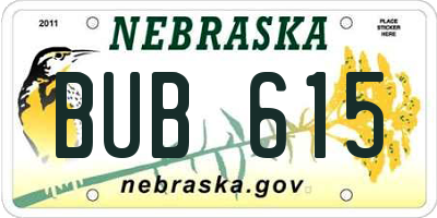NE license plate BUB615