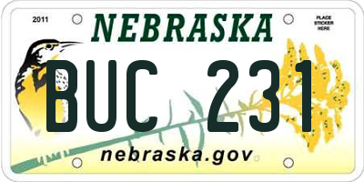 NE license plate BUC231