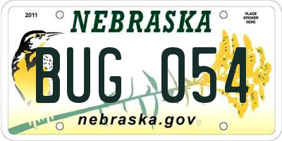 NE license plate BUG054