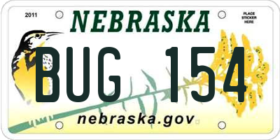 NE license plate BUG154