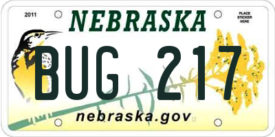 NE license plate BUG217