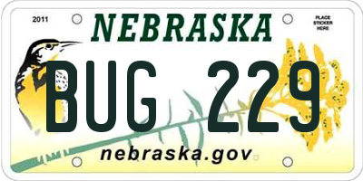 NE license plate BUG229
