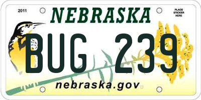 NE license plate BUG239