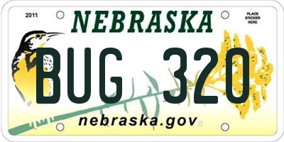 NE license plate BUG320