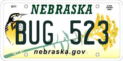 NE license plate BUG523