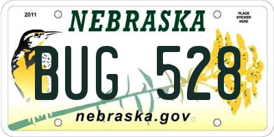 NE license plate BUG528