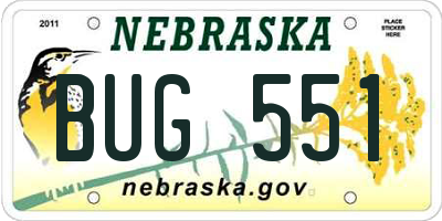 NE license plate BUG551