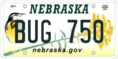 NE license plate BUG750