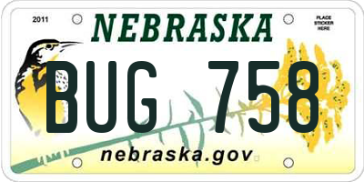 NE license plate BUG758