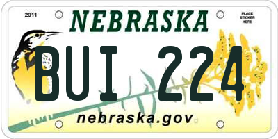 NE license plate BUI224
