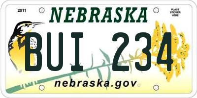 NE license plate BUI234