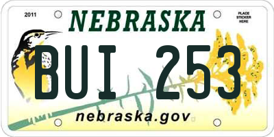 NE license plate BUI253