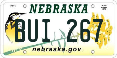 NE license plate BUI267