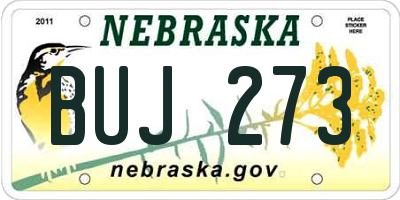 NE license plate BUJ273
