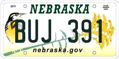 NE license plate BUJ391