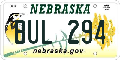 NE license plate BUL294