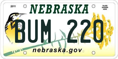 NE license plate BUM220