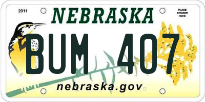 NE license plate BUM407