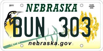 NE license plate BUN303