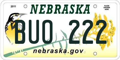 NE license plate BUO222