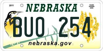 NE license plate BUO254