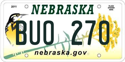 NE license plate BUO270