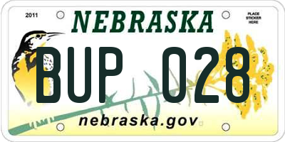 NE license plate BUP028