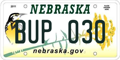 NE license plate BUP030
